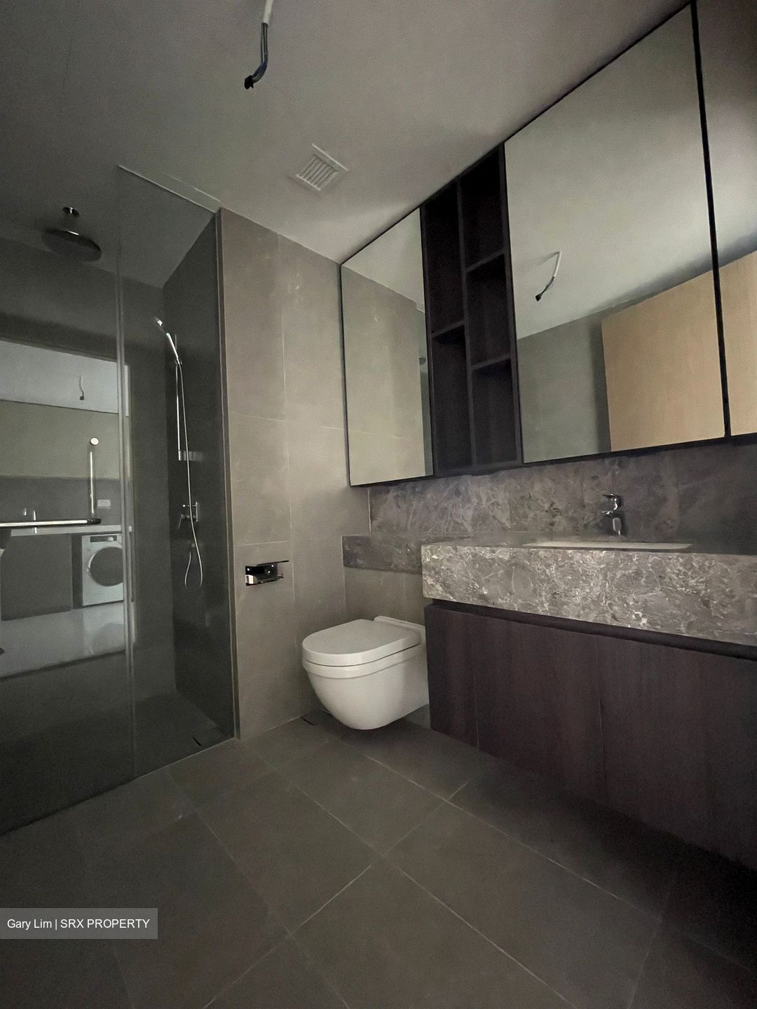 Verticus (D12), Apartment #608593341